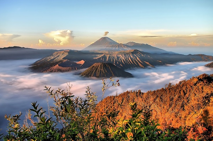 Bromo