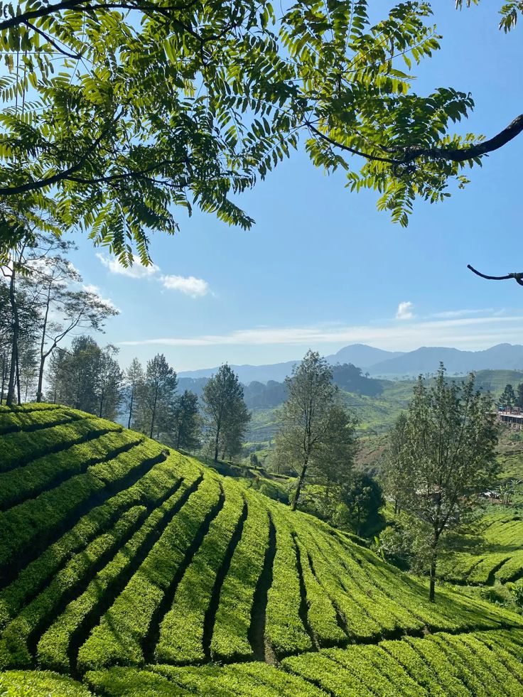 Paket Wisata Bogor